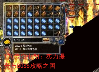 176ڣʵBOSS֮