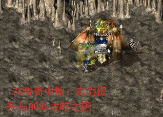 176ڣʵBOSS֮