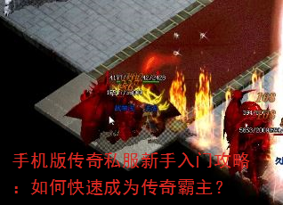 ֻ洫˽ŹԣοٳΪ