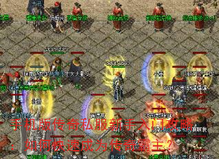 ֻ洫˽ŹԣοٳΪ