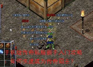 ֻ洫˽ŹԣοٳΪ