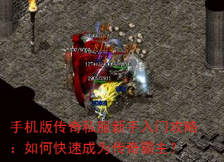 ֻ洫˽ŹԣοٳΪ