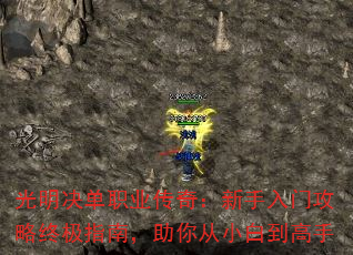 ְҵ棺ŹռָϣС׵