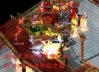 絥ְҵ棺0100֮·