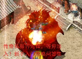 ˽ȷ棬룡Źʴ