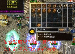 ˽ȷ棬룡Źʴ