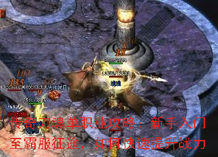 浶굥ְҵԣԷ;οս