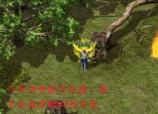 촫¿˽ֱرʴȫ