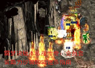 ξ汾˽棺ԱװɳBOSSɱָ