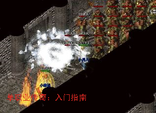 ְҵ棺ָ