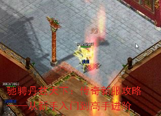 ۳ҵ£·ԡŵֽ