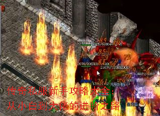 ˽ֹԴȫС׵еĽ֮·