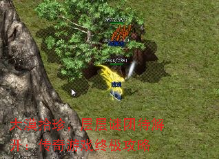 Įʰ䣬Ŵ⿪Ϸռ