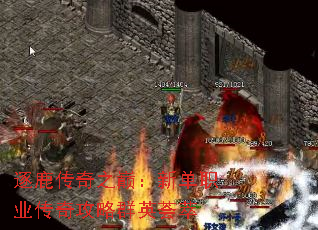 ¹ۣ֮µְҵ湥ȺӢ