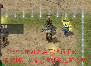 185sfȫְҵֱرԣ㵽Ľ֮·
