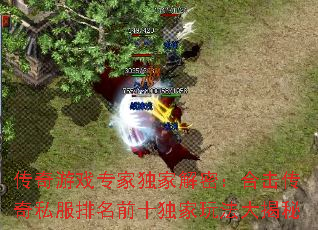 ϷרҶҽܣϻ˽ǰʮ淨