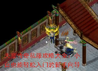 ⴫˽ԴȫСҲŵ