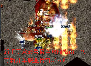 ұؿȫָϣ¿ְҵsfzq8