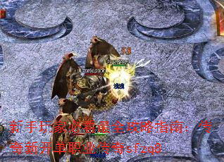 ұؿȫָϣ¿ְҵsfzq8