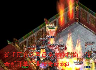 ұؿȫָϣ¿ְҵsfzq8