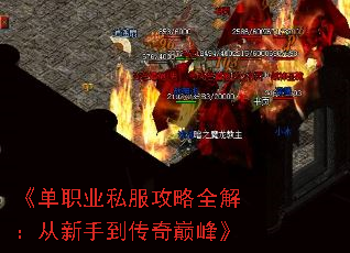 ְҵ˽ȫ⣺ֵ۷塷