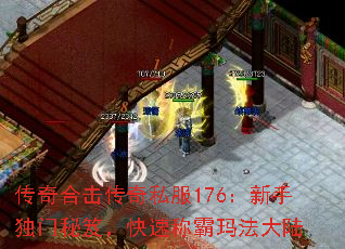 ϻ˽176ֶţٳư귨½