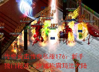 ϻ˽176ֶţٳư귨½