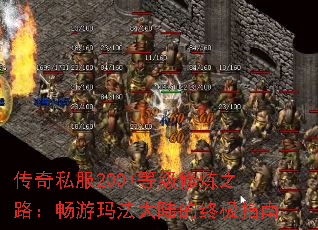 ˽200+ȼ֮·귨½ռָ