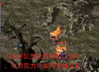 ھݽ¼ýУʵεǷ켫