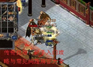ҷŹ볣ȫ