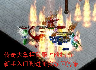 ƹ˽ָϣŵʵսʴ