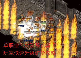 ְҵ˽ҿ׹