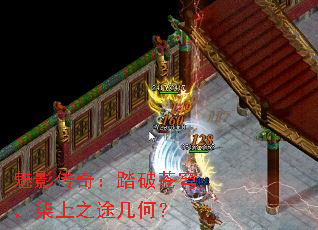 Ӱ棺̤Ʋ񷣬֮;Σ
