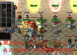½sfռ汾СٳɹԣЧָ