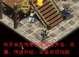 տϻ˽Դȫ߱װȡָ