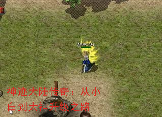 񼣴½棺С׵֮·