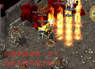 񼣴½棺С׵֮·