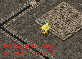 ˽ҳ棺ʮΪʲô