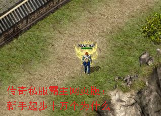 ˽ҳ棺ʮΪʲô