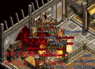 ˽ҳ棺ʮΪʲô