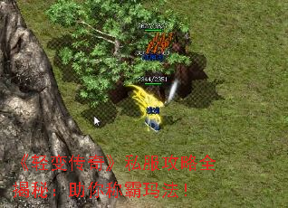 䴫桷˽ȫأư귨