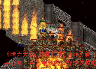 [ƷƵְҵ].exe֪ӿȺ۵Ĺؼ