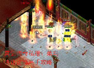ڤ˽ٽ׸ֹ