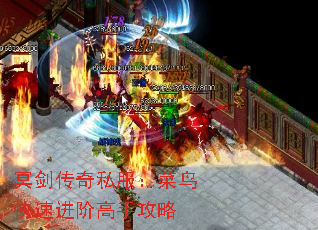 ڤ˽ٽ׸ֹ