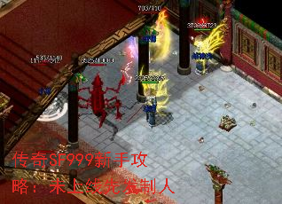 SF999ֹԣδȷ