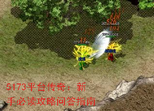 5173ƽ̨棺ֱضʴָ