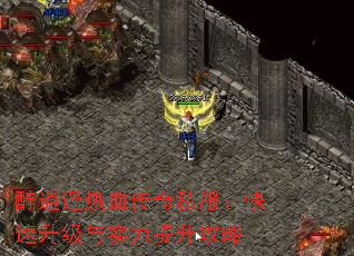 ңѪ˽ʵ