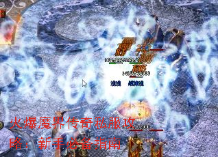 ħ紫˽ԣֱرָ