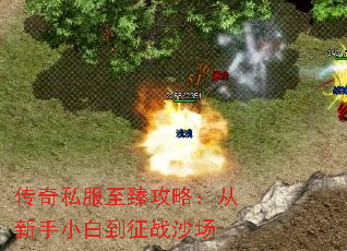 ˽鹥ԣС׵սɳ