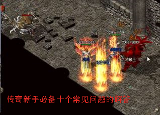 ֱرʮĽ